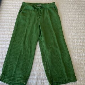 Velvet Green Drawstring Pants